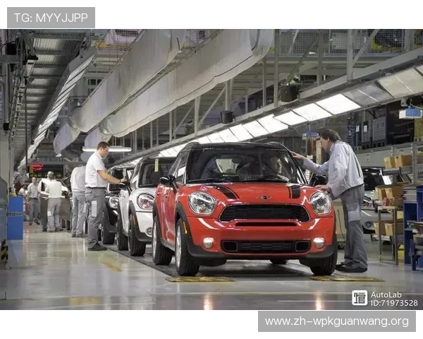 欧博正网合作常见问题解答，解决合作过程中遇到的实际难题